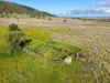 415 Tudgey Road, Gunnedah, NSW 2380-Image