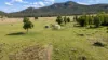 415 Tudgey Road, Gunnedah, NSW 2380-Image