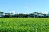 416 Mortlake-Ararat Road, Mortlake, Vic 3272-Image