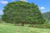 418 Terrace Road, Terrace Creek, Kyogle NSW 2474-Image