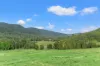418 Terrace Road, Terrace Creek, Kyogle NSW 2474-Image