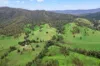418 Terrace Road, Terrace Creek, Kyogle NSW 2474-Image