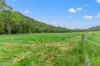 418 Terrace Road, Terrace Creek, Kyogle NSW 2474-Image