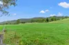 418 Terrace Road, Terrace Creek, Kyogle NSW 2474-Image