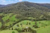 418 Terrace Road, Terrace Creek, Kyogle NSW 2474-Image