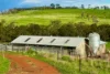 42 Floyds Road, Scotts Creek, Vic 3267-Image