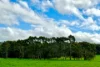 42 Floyds Road, Scotts Creek, Vic 3267-Image