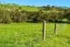 42 Floyds Road, Scotts Creek, Vic 3267-Image