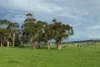 42 Floyds Road, Scotts Creek, Vic 3267-Image