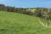 42 Floyds Road, Scotts Creek, Vic 3267-Image
