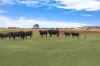 422 Old Crusher Road, Byaduk, Vic 3301-Image