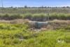 425 Hutchison Road, Undera, Vic 3629-Image
