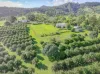428 Shadbolt Road, Mothar Mountain, Qld 4570-Image