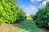 428 Shadbolt Road, Mothar Mountain, Qld 4570-Image