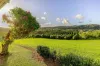 428 Shadbolt Road, Mothar Mountain, Qld 4570-Image