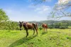 428 Shadbolt Road, Mothar Mountain, Qld 4570-Image