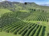 428 Shadbolt Road, Mothar Mountain, Qld 4570-Image