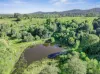 428 Shadbolt Road, Mothar Mountain, Qld 4570-Image