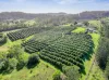 428 Shadbolt Road, Mothar Mountain, Qld 4570-Image