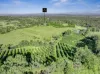 428 Shadbolt Road, Mothar Mountain, Qld 4570-Image