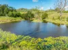 428 Shadbolt Road, Mothar Mountain, Qld 4570-Image