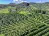 428 Shadbolt Road, Mothar Mountain, Qld 4570-Image