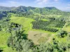 428 Shadbolt Road, Mothar Mountain, Qld 4570-Image