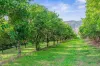 428 Shadbolt Road, Mothar Mountain, Qld 4570-Image