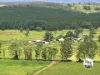 431 Knights Road, Kyogle, NSW 2474