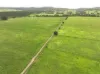 431 Knights Road, Kyogle, NSW 2474-Image