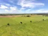 431 Knights Road, Kyogle, NSW 2474-Image