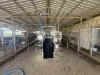 431 Knights Road, Kyogle, NSW 2474-Image