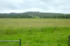 431 Knights Road, Kyogle, NSW 2474-Image