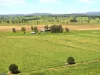 431 Knights Road, Kyogle, NSW 2474-Image