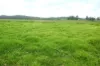 431 Knights Road, Kyogle, NSW 2474-Image