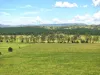 431 Knights Road, Kyogle, NSW 2474-Image