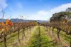 432 Wallaces Road, Moyston, Vic 3377-Image
