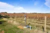 432 Wallaces Road, Moyston, Vic 3377-Image