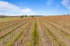 432 Wallaces Road, Moyston, Vic 3377-Image