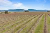 432 Wallaces Road, Moyston, Vic 3377-Image