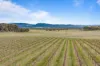 432 Wallaces Road, Moyston, Vic 3377-Image