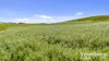 433 James Track, Inman Valley, SA 5211-Image