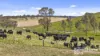 433 James Track, Inman Valley, SA 5211-Image