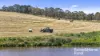 433 James Track, Inman Valley, SA 5211-Image