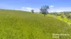 433 James Track, Inman Valley, SA 5211-Image