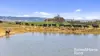 433 James Track, Inman Valley, SA 5211-Image
