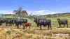 433 James Track, Inman Valley, SA 5211-Image