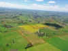 433 Maimuru SS Road Via, Young, NSW 2594
