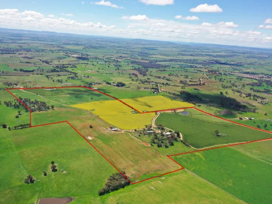 433 Maimuru SS Road Via, Young, NSW 2594