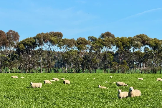 433 South Road, Mortlake, Vic 3272